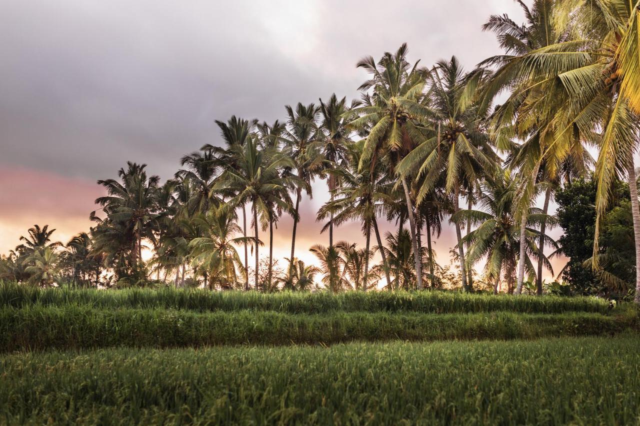 The Luxe Ubud Екстериор снимка